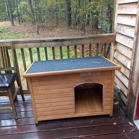 Rustic Quaint Cabin In The Woods--Pets Welcomed Dunnsville 外观 照片