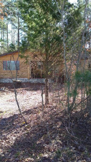 Rustic Quaint Cabin In The Woods--Pets Welcomed Dunnsville 外观 照片