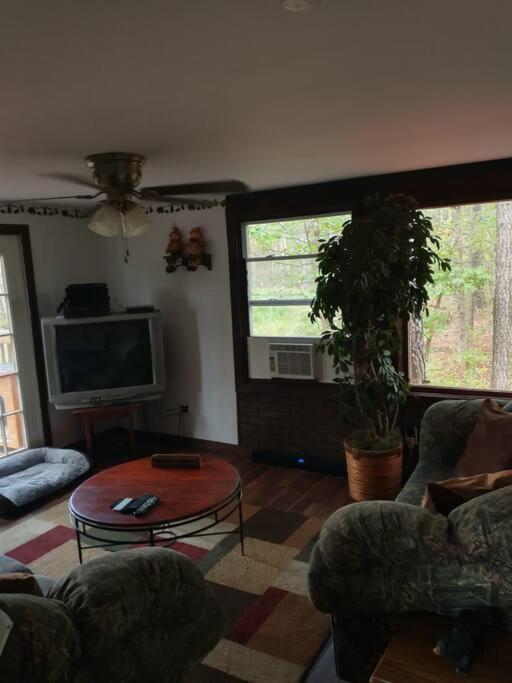 Rustic Quaint Cabin In The Woods--Pets Welcomed Dunnsville 外观 照片