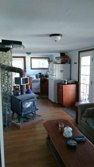 Rustic Quaint Cabin In The Woods--Pets Welcomed Dunnsville 外观 照片