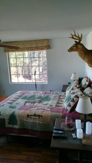 Rustic Quaint Cabin In The Woods--Pets Welcomed Dunnsville 外观 照片